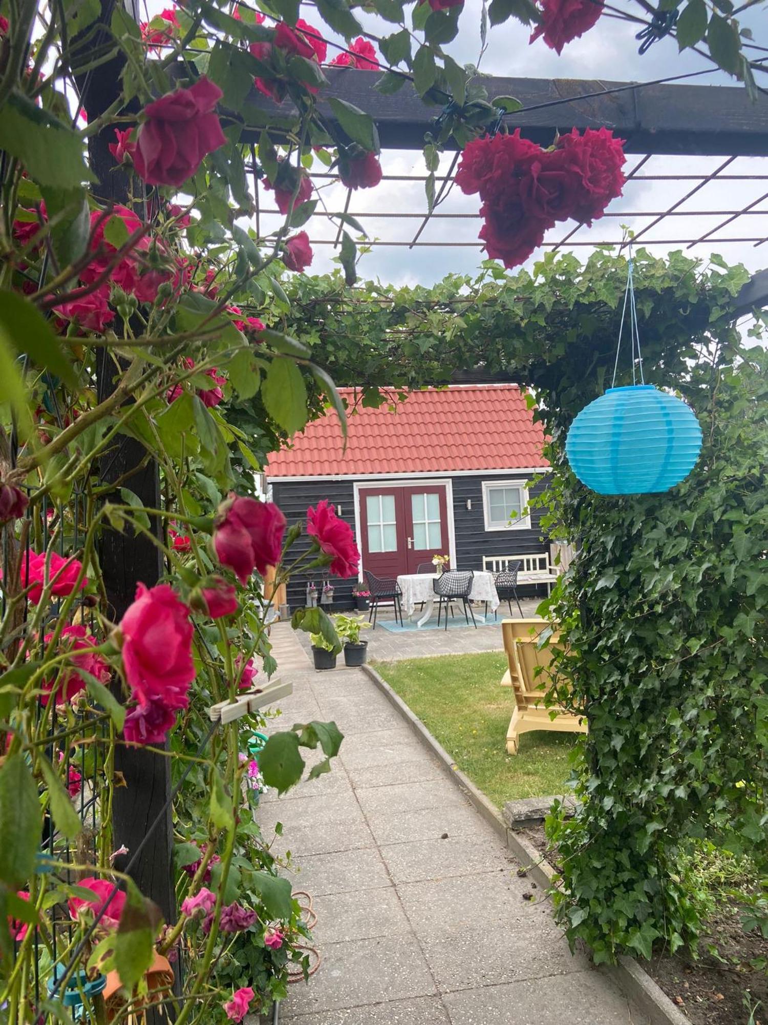 Bed and Breakfast Bed En Brochje De Oase Sweagerbosk Exterior foto